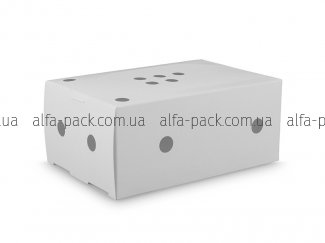 Paper box white with holes and perforation 150*100*65 mm