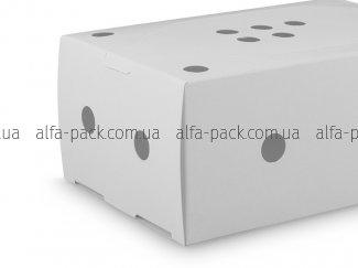 Paper box white with holes and perforation 150*100*65 mm